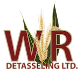 WRDetasseling Logo